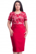 Julia M71898