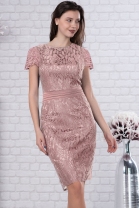 Pre Order Adria 11793